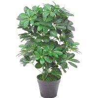 Leaf 55cm Dark Green Artificial Schefflera Arboricola Plant