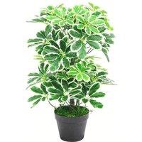 Leaf 55cm Variegated Artificial Schefflera Arboricola Plant in Green