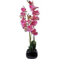 Leaf 70cm Artificial Orchid Light Pink with Black Ceramic Planter