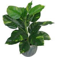 Leaf Artificial Foliage Plant Pot Devils Ivy 60cm Plants in Green