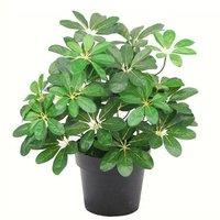 Leaf 55cm Dark Green Artificial Schefflera Arboricola Plant