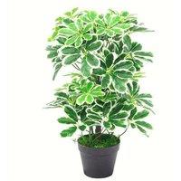 Leaf 55cm Variegated Artificial Schefflera Arboricola Plant in Green