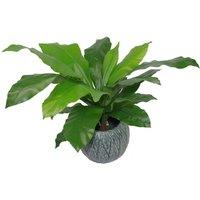 Leaf Tropical Artificial Plants 60cm Dark Bushy Fern 2ft in Green