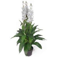 Leaf 100cm Artificial Cymbidium Orchid Plant - Extra Large - White Flowers
