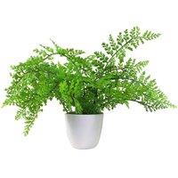Leaf Artificial Fern Plant 30cm Forest Fern 30cm In Plant Pot in Green