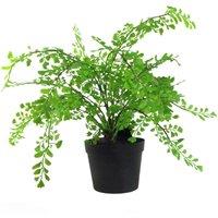 Leaf 35cm Artificial Potted Fern Plant (Southern Maidenhair Fern) in Green