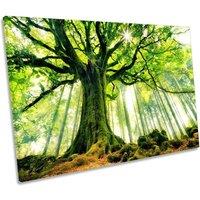 CanvasGeeks Ponthus Beech Tree Forest Green Canvas Wall Art Picture Print | Size: W24 x H16 x D20mm