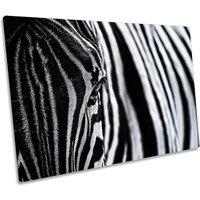 CanvasGeeks Zebra Stripes Black & White Canvas Wall Art Picture Print in Grey | Size: W30 x H20 x D20mm