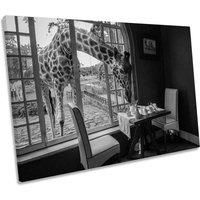 CanvasGeeks Breakfast Time Giraffe Coffee Break Canvas Wall Art Picture Print in Grey | Size: W30 x H20 x D20mm