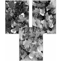 ARTZE Set of 3 Abstract Wild Garden Flowers in Black & Grey Art Posters | Size: W42 cm x H59 cm
