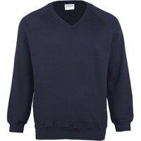 Maddins Men's Coloursure V-Neck Sweatshirt in Navy | Size: Small