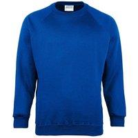 Maddins Men's Coloursure Plain Crew Neck Sweatshirt in Royal | Size: 2XL