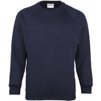 Maddins Men's Coloursure Plain Crew Neck Sweatshirt in Navy | Size: 2XL