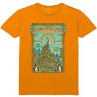 Fleetwood Mac Men's Peacock Cotton T-Shirt in Orange | Size: 2XL