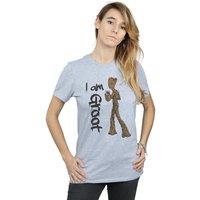 Marvel Women's Avengers Infinity War Graffiti Groot Cotton Boyfriend T-Shirt in Grey | Size: Medium