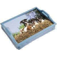 Loops Laminated Wooden Lap Tray with Built in Cushion - 100 x 400 x 300mm - Dog Design