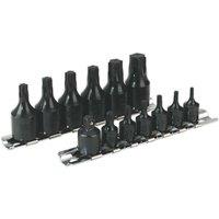 Loops 13 PACK TRX Star Socket Bit Set - 1/4" & 3/8" Square Drive - BLACK OXIDE T10 T60