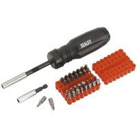 Loops 34 PACK Gearless Ratchet Screwdriver Set - Integral Storage - S2 Steel Bits in Metallics
