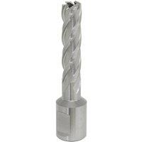 Loops 12mm x 50mm Depth Rotabor Cutter - M2 Steel Annular Metal Core Drill 19mm Shank in Metallics