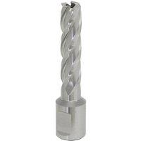 Loops 13mm x 50mm Depth Rotabor Cutter - M2 Steel Annular Metal Core Drill 19mm Shank in Metallics