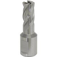 Loops 13mm x 25mm Depth Rotabor Cutter - M2 Steel Annular Metal Core Drill 19mm Shank in Metallics