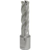 Loops 14mm x 50mm Depth Rotabor Cutter - M2 Steel Annular Metal Core Drill 19mm Shank in Metallics
