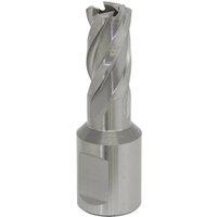 Loops 14mm x 25mm Depth Rotabor Cutter - M2 Steel Annular Metal Core Drill 19mm Shank in Metallics