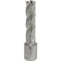 Loops 15mm x 50mm Depth Rotabor Cutter - M2 Steel Annular Metal Core Drill 19mm Shank in Metallics