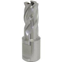 Loops 15mm x 25mm Depth Rotabor Cutter - M2 Steel Annular Metal Core Drill 19mm Shank in Metallics