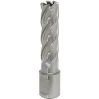 Loops 16mm x 50mm Depth Rotabor Cutter - M2 Steel Annular Metal Core Drill 19mm Shank in Metallics