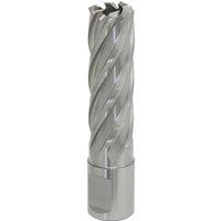 Loops 18mm x 50mm Depth Rotabor Cutter - M2 Steel Annular Metal Core Drill 19mm Shank in Metallics