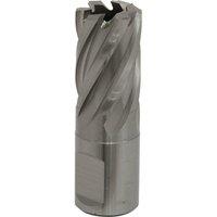 Loops 19mm x 25mm Depth Rotabor Cutter - M2 Steel Annular Metal Core Drill 19mm Shank in Metallics