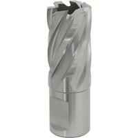 Loops 20mm x 25mm Depth Rotabor Cutter - M2 Steel Annular Metal Core Drill 19mm Shank in Metallics