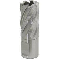 Loops 21mm x 25mm Depth Rotabor Cutter - M2 Steel Annular Metal Core Drill 19mm Shank in Metallics