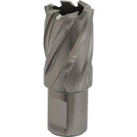 Loops 22mm x 25mm Depth Rotabor Cutter - M2 Steel Annular Metal Core Drill 19mm Shank in Metallics