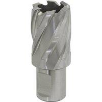 Loops 24mm x 25mm Depth Rotabor Cutter - M2 Steel Annular Metal Core Drill 19mm Shank in Metallics