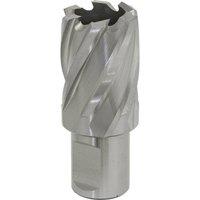 Loops 25mm x 25mm Depth Rotabor Cutter - M2 Steel Annular Metal Core Drill 19mm Shank in Metallics