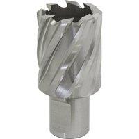 Loops 29mm x 25mm Depth Rotabor Cutter - M2 Steel Annular Metal Core Drill 19mm Shank in Metallics
