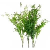 Leaf 6 x 120cm Artificial Boston Fern Stem Filler in Green | Size: 6 x 120 cm