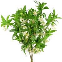Leaf 6 x 90cm Artificial Hainan Elaeocarpus Stem in Green | Size: 6 x 90 cm