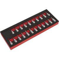 Loops 22pc TRX Star / Hex Key / Spline Socket Bit Set 3/8 Square Drive - 50mm Shaft
