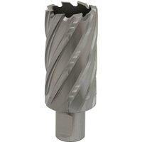 Loops 33mm x 50mm Depth Rotabor Cutter - M2 Steel Annular Metal Core Drill 19mm Shank in Metallics