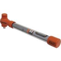 Loops Insulated Torque Wrench - 3/8 Sq Drive - Calibrated - 12 to 60 Nm Range