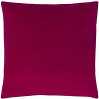 Paoletti Sunningdale Plain Velvet Cushion in Dark Pink | Size: 50 cm x 50 cm