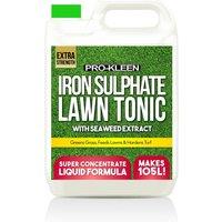 ProKleen Liquid Iron Sulphate Lawn Tonic Feed 1 x 5L in Green
