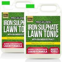 ProKleen Liquid Iron Sulphate Lawn Tonic Feed 2 x 5L in Green