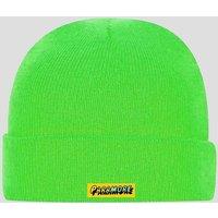 Pantera Band Logo Beanie Hat in Green