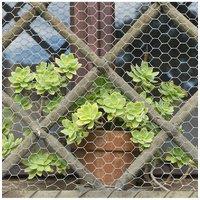 0.9 X 6M Galvanized Hexagonal Wire Mesh Fence Netting