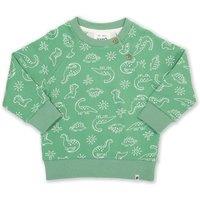 Kite Boy's Dino Earth Sweatshirt in Green | Size: 6-9 m