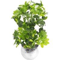 Leaf 75cm Artificial Arboricola Gold Capella Plant - Silver Metal Planter in Green